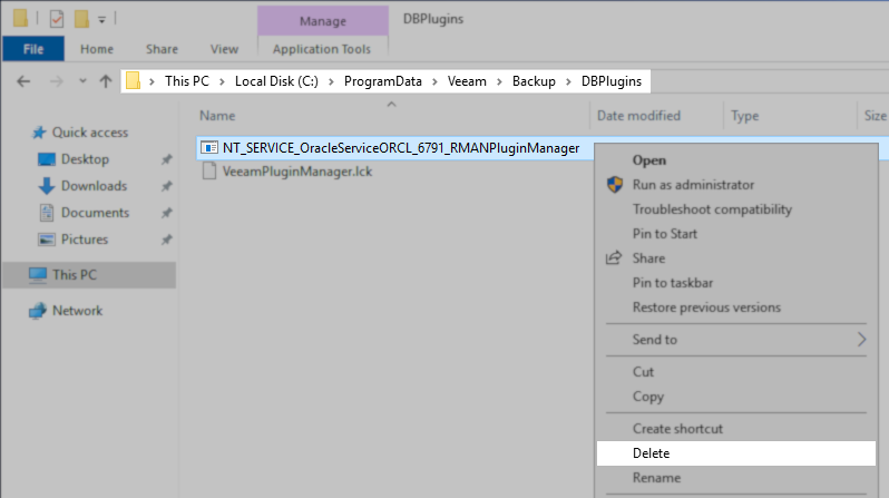 Example Delete Lock