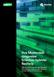 Ihr Weg zur Modernisierung: So erzielen Sie hybride Resilienz