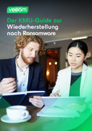 Der KMU-Guide zur Wiederherstellung nach Ransomware