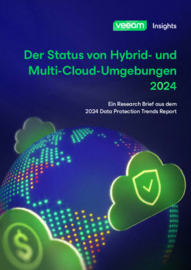 Der Status von Hybrid- und Multi-Cloud-Umgebungen 2024
