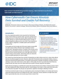 How Cybervaults Can Ensure Absolute Data Survival and Enable Full Recovery