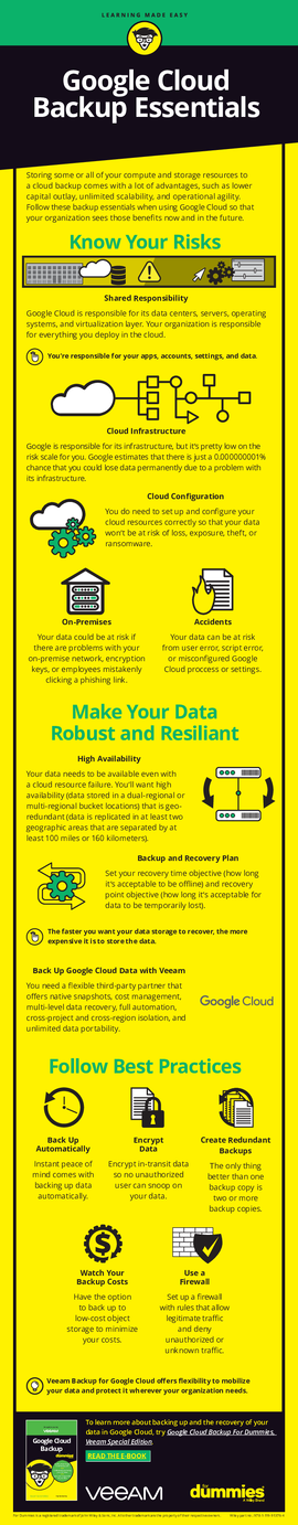 Infographic: Google Cloud Backup Essentials
