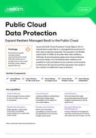 Public Cloud Data Protection for Service Providers