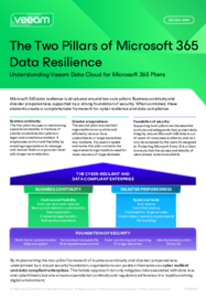 The Two Pillars of Microsoft 365 Data Resilience