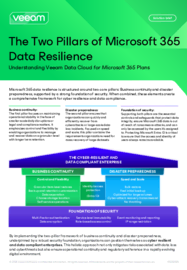 The Two Pillars of Microsoft 365 Data Resilience