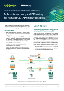 1-click site recovery and DR testing for NetApp ONTAP snapshot copies