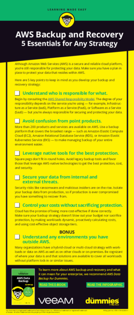 Checklist: 5 Essentials for AWS Backup and Recovery For Dummies
