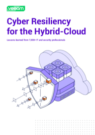 Cyber Resiliency for the Hybrid-Cloud Research Brief