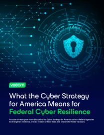 What the Cyber Strategy for America Means for Federal Cyber Resilience