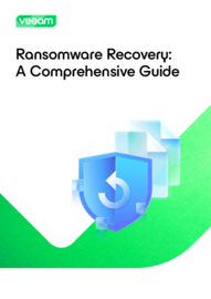 Ransomware Recovery: A Comprehensive Guide
