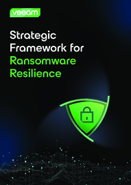 Strategic Framework for Ransomware Resilience