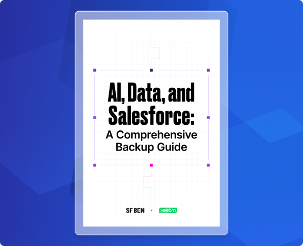 salesforce backup best practice guide