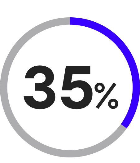 Circular stats purple 35