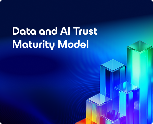 Maturity model