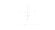 New orleans logo