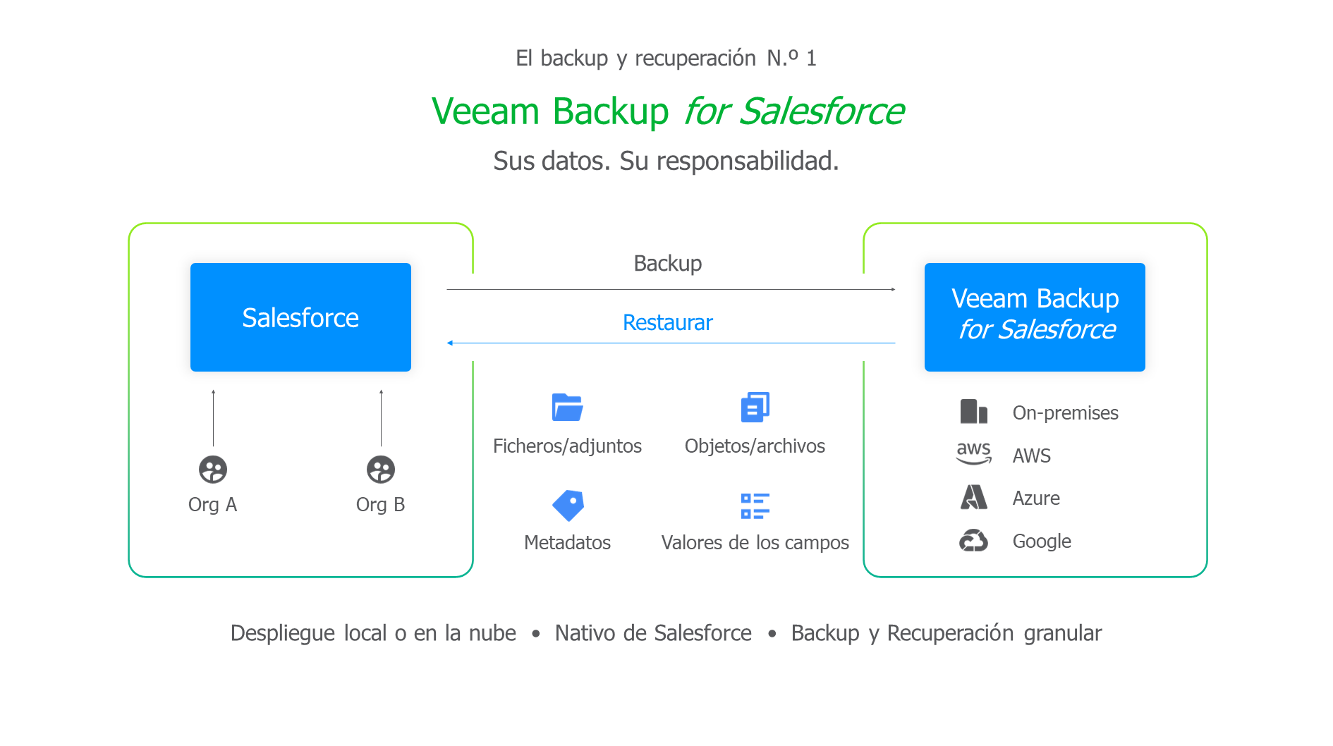 Diagrama veeam backup for salesforce