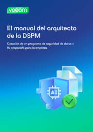 El manual del arquitecto de la DSPM