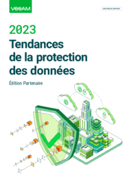 Rapport sur les tendances de la protection des données en 2023, édition Partenaires