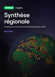 Synthèse régionale EMEA du rapport sur les tendances de la protection des données en 2024