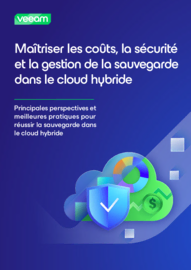 E-book: Maîtriser la gestion des sauvegardes en cloud hybride