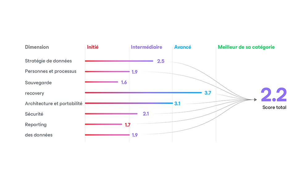 Graphique 1 : Comment fonctionne le DRMM