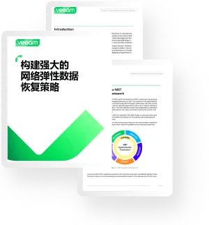 构建强大的网络弹性数据恢复策略白皮书预览