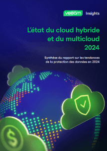 L’état du cloud hybride et du multicloud en 2024 — Synthèse d’étude