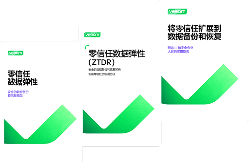 白皮书封面