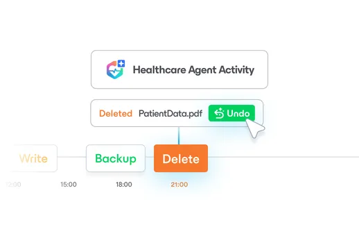 Discover AI Agents. Undo Mistakes on Data. illustration