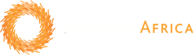 Bankservafrica logo