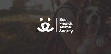 Best friends animal society