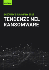 Executive summary  2023 - Tendenze nel ransomware