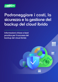 E-book: Padroneggiare la gestione del backup del cloud ibrido