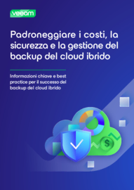 E-book: Padroneggiare la gestione del backup del cloud ibrido