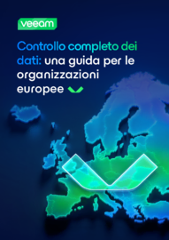 Controllo completo dei dati: una Guida per le organizzazioni europee