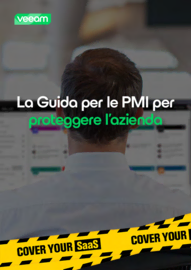 La Guida per le PMI alla protezione dell’azienda