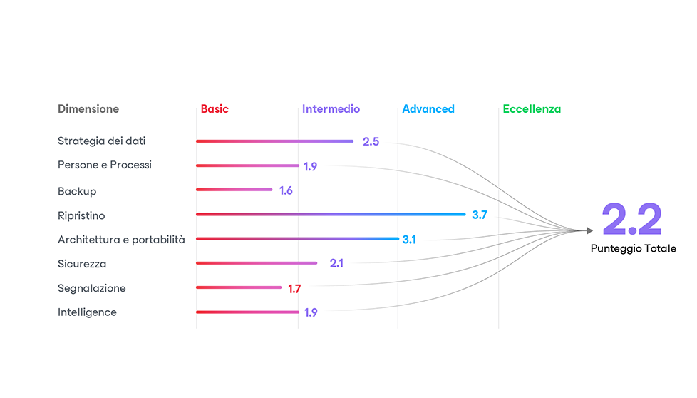 Diagramma 1: come funziona il drmm