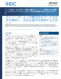 Cybervaultsでデータの存続と復元を実現する方法