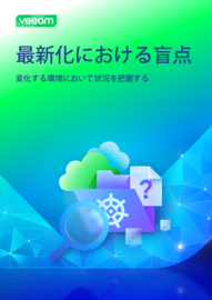 最新化における盲点：変化する環境において状況を把握するためのガイド