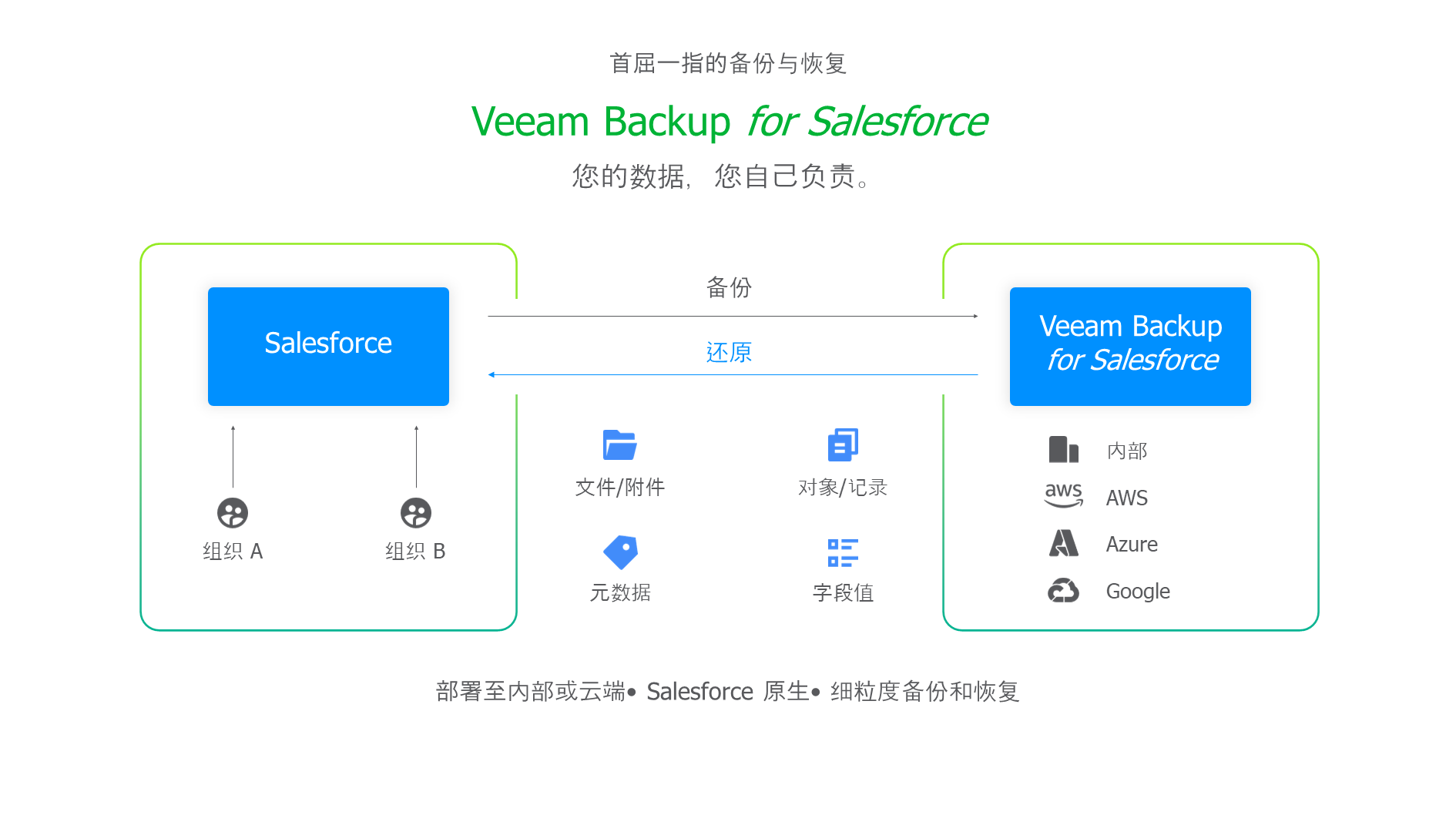 图表：veeam backup for salesforce
