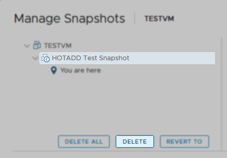  Remove the snapshot from the VM that was being tested.