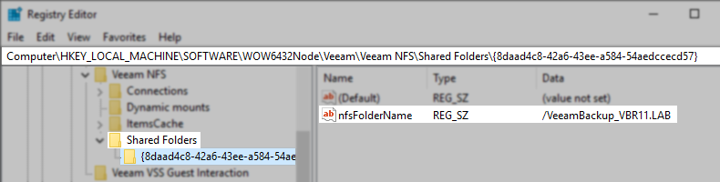 nfsFolderName value in registry