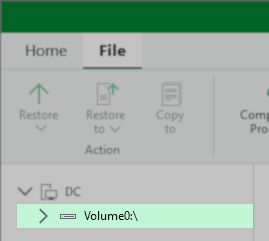 The Guest Files Restore show under the DC node in a file tree, "Volume0:" is highlighted.