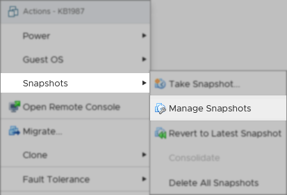 manage snapshots