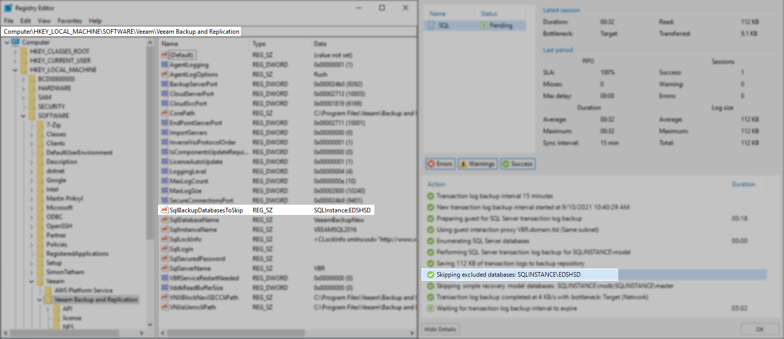 example of registry value and outcome in SQL Transaction Log Backup session report