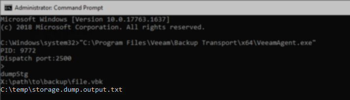Command Prompt window with the full path and file name for the storage dump output entered on the next line