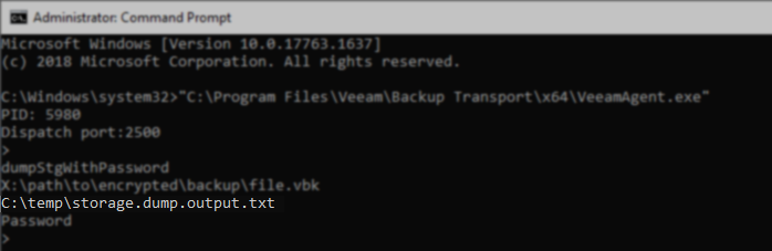 Command Prompt window with the full path and file name for the storage dump output entered on the next line
