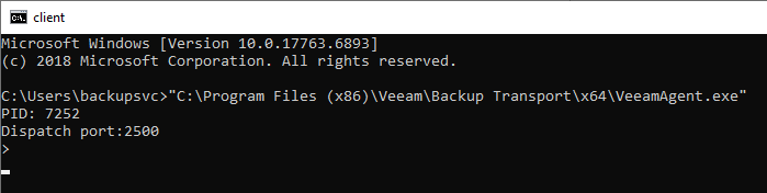 Windows agent process demo