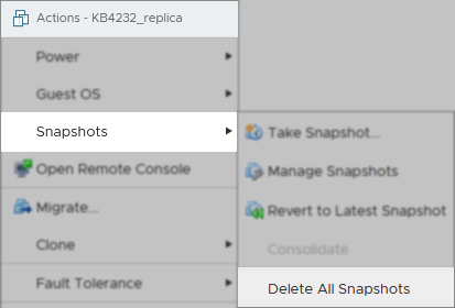 Remove all snapshots from the replica