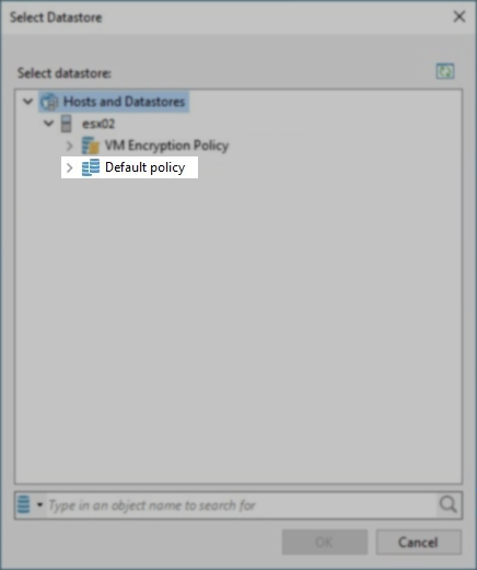Screenshot of the Select Datastore wizard window with the "Default Policy" highlighted